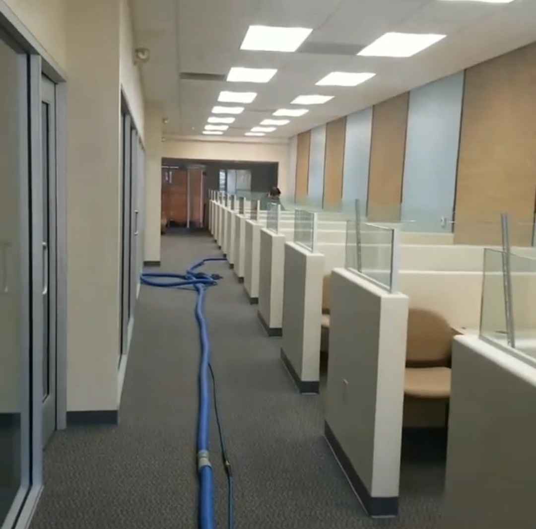 commercial steam cleaning - brodine steam cleaning redondo beach