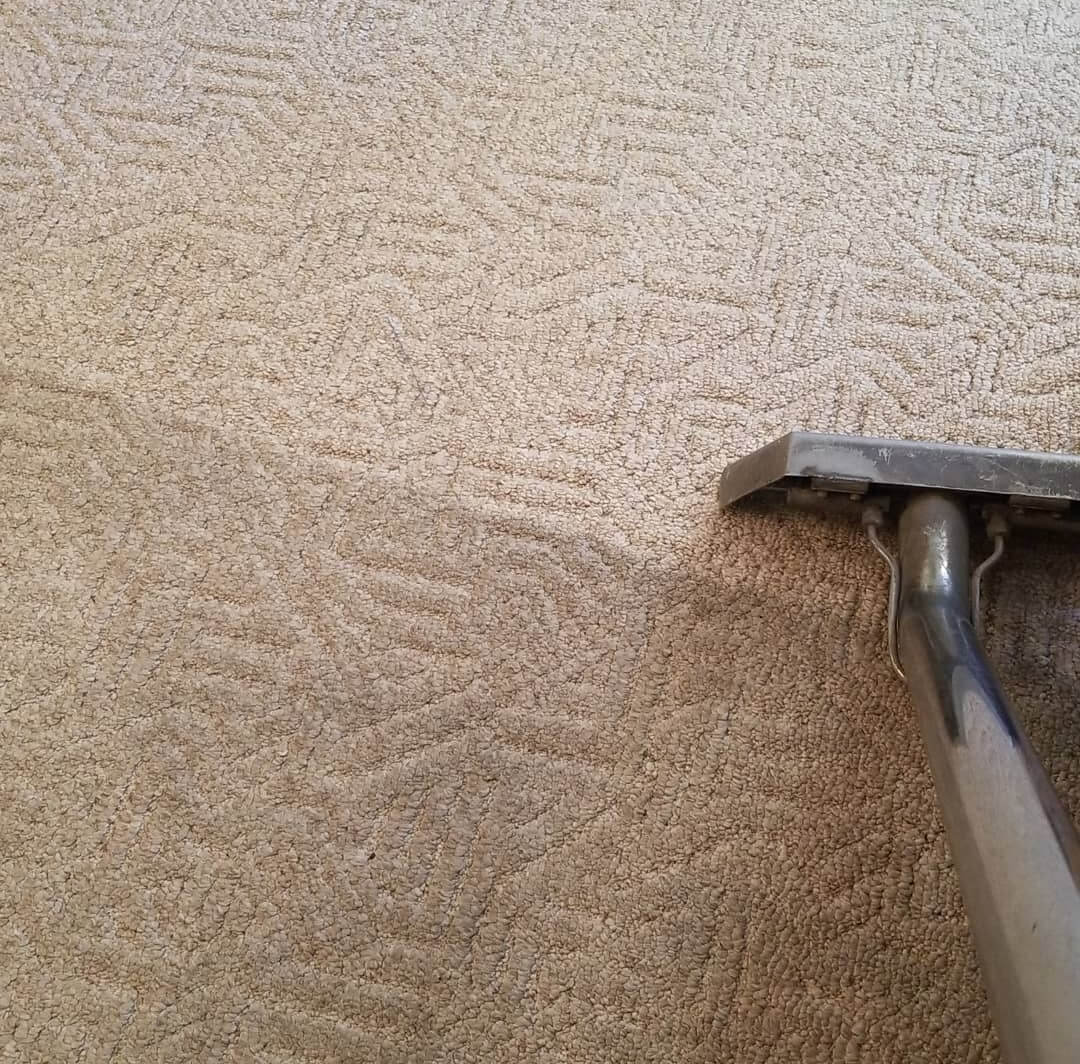 carpet cleaning
